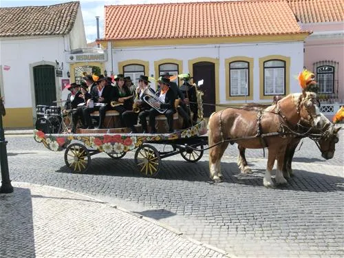 parque-municipal-de-campismo-da-goleg-goleg-hdv43