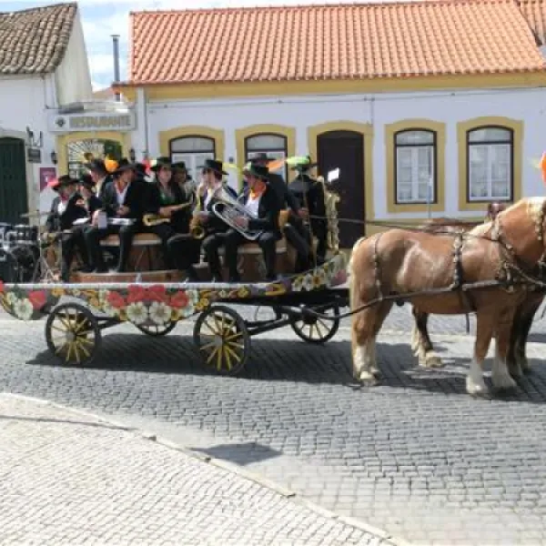parque-municipal-de-campismo-da-goleg-goleg-hdv43