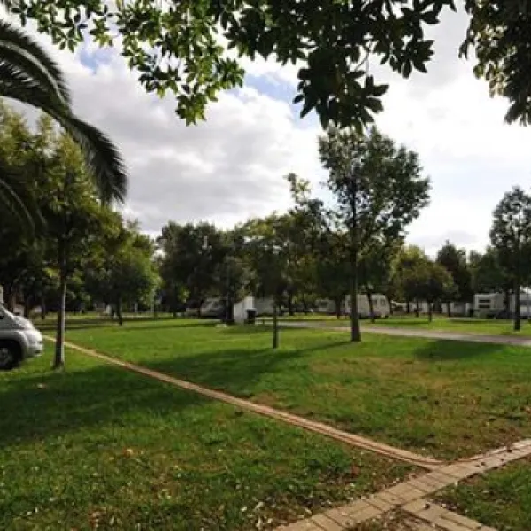 parque-municipal-de-campismo-da-goleg-goleg-hkl5z