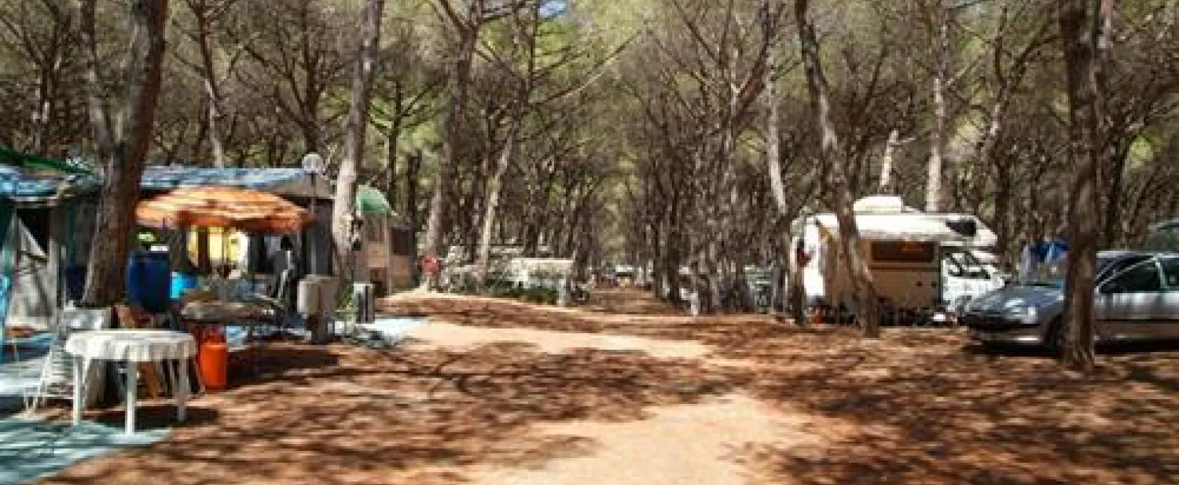Camping Pionier Etrusco