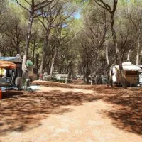 camping-pionier-etrusco-montalto-di-castro-osuqb