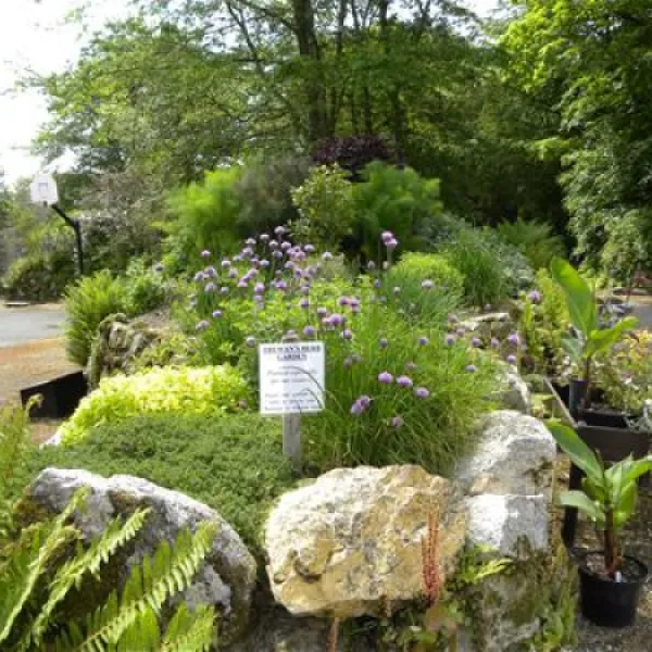 trewan-hall-club-site-columb-q4zii