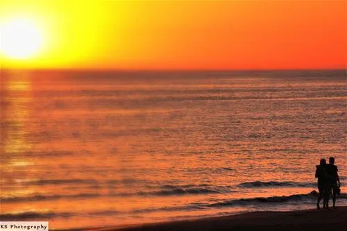 camping-tholo-beach-zacharo-avkmn