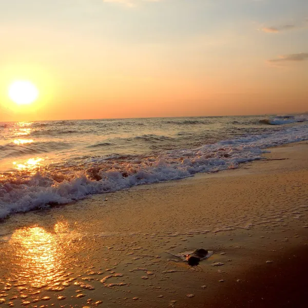 camping-tholo-beach-zacharo-nvfpo
