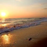 camping-tholo-beach-zacharo-nvfpo