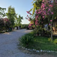 camping-tholo-beach-zacharo-qpm04