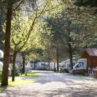 Campeggio Pineta