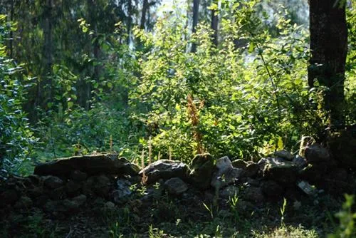parque-de-campismo-convvio-lda-candemil-olgii
