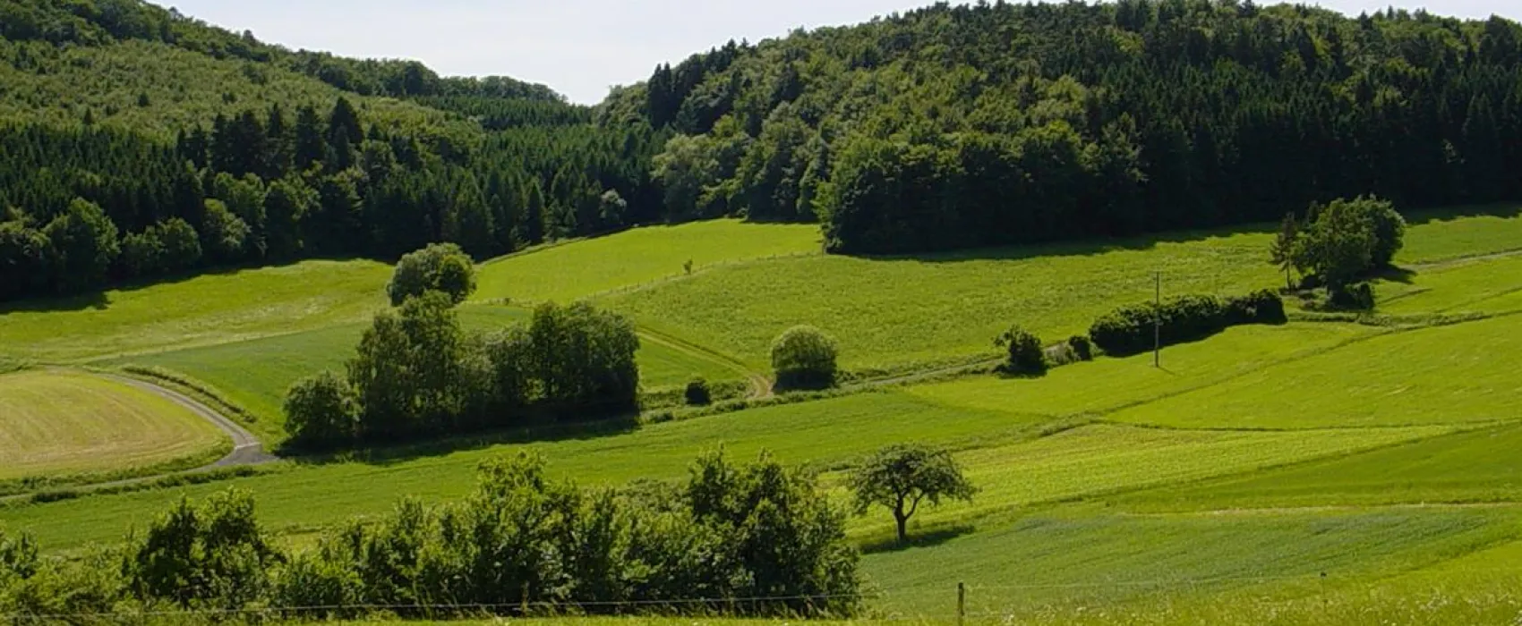 Camping Hinterland