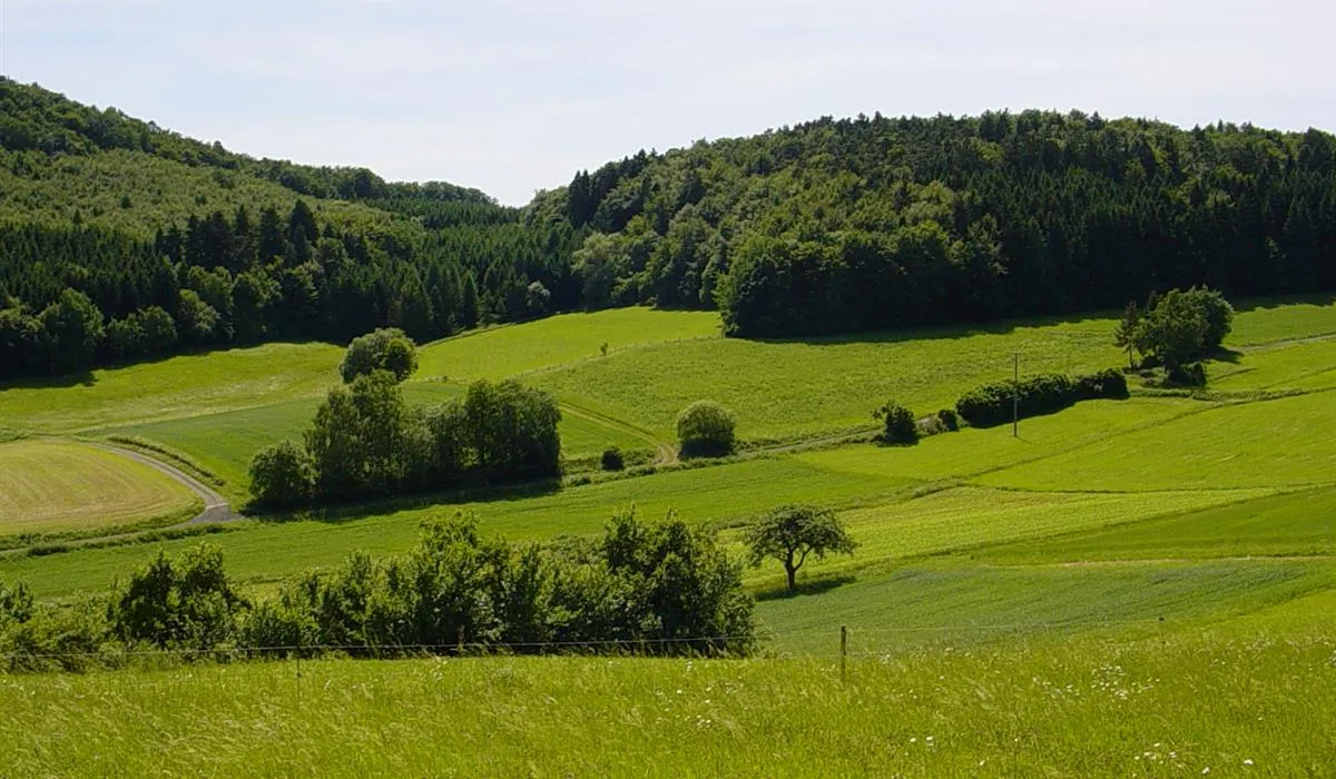 camping-hinterland-steffenbergniedereisenhausen-g6mok