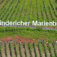 campingplatzmarienburg-pnderich-lvip1