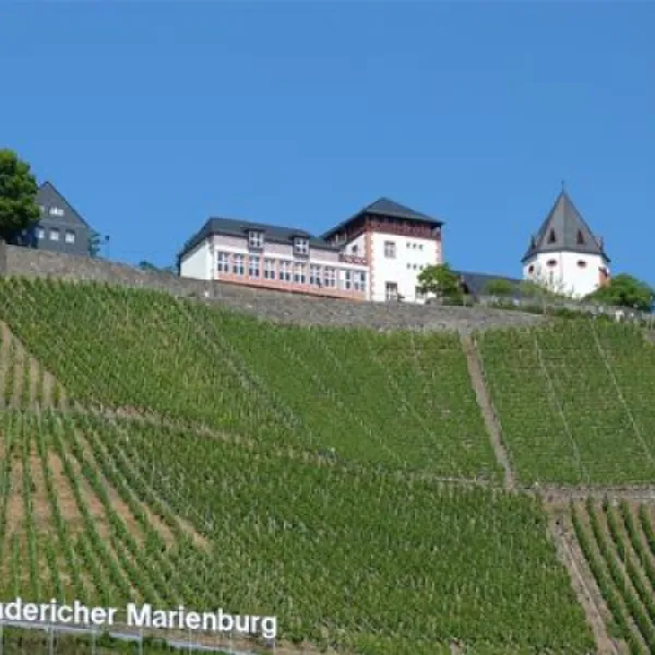 campingplatzmarienburg-pnderich-oxrlt