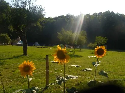 camping-la-clairiere-du-verbamont-claudon-ruo6n