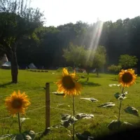 camping-la-clairiere-du-verbamont-claudon-ruo6n