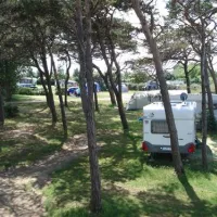 ostseecamp-seeblick-rerikmeschendorf-fg11h