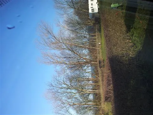 ostseecamp-seeblick-rerikmeschendorf-l2q2o