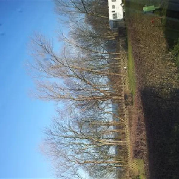 ostseecamp-seeblick-rerikmeschendorf-l2q2o