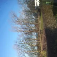 ostseecamp-seeblick-rerikmeschendorf-l2q2o