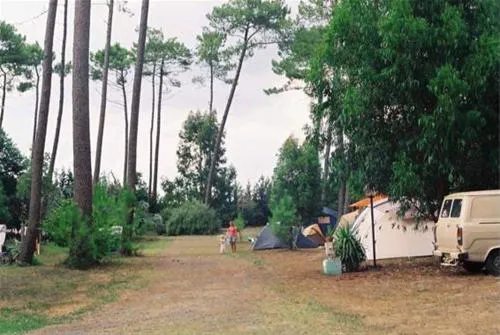 camping-le-cou-de-la-girafe-herm-qwtzf
