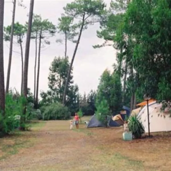camping-le-cou-de-la-girafe-herm-qwtzf