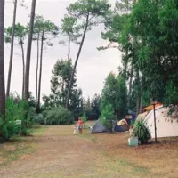 camping-le-cou-de-la-girafe-herm-qwtzf