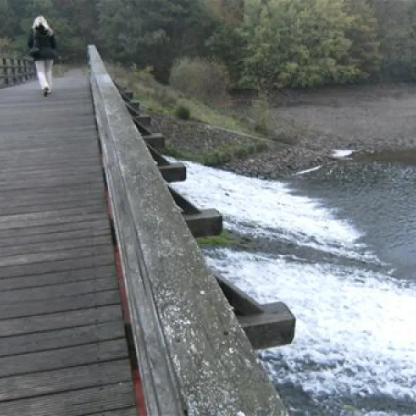 campingpark-kronenburger-see-hallschlag-navdj