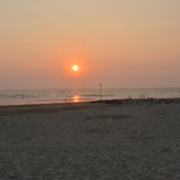 camping-les-peupliers--montalivet--atlantique-vendays-montalivet-ancuz