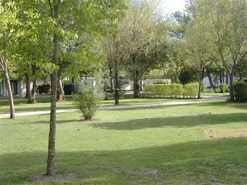 camping-les-peupliers--montalivet--atlantique-vendays-montalivet-lolst