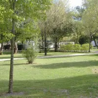 camping-les-peupliers--montalivet--atlantique-vendays-montalivet-lolst