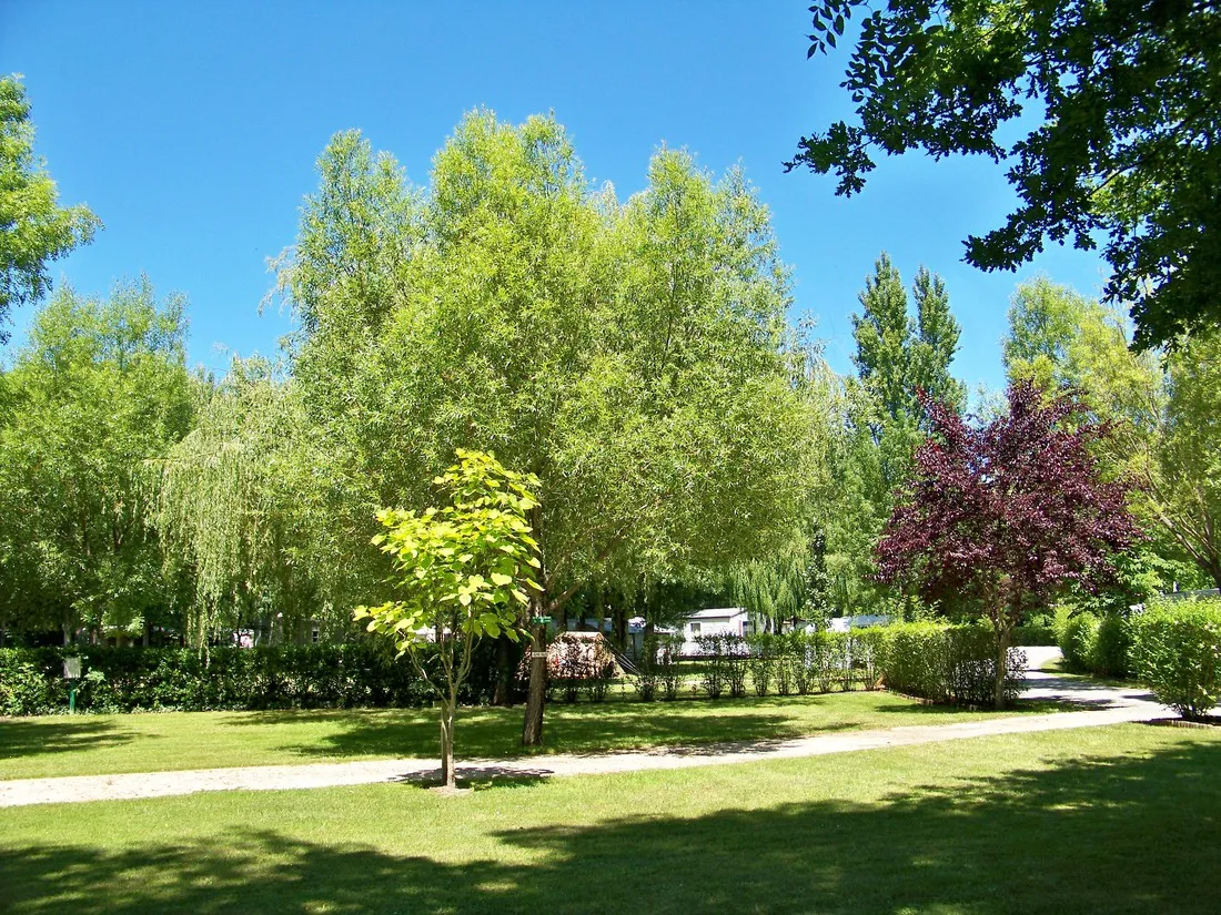 camping-les-peupliers--montalivet--atlantique-vendays-montalivet-sn7i9