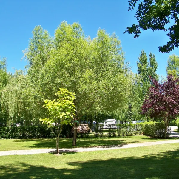 camping-les-peupliers--montalivet--atlantique-vendays-montalivet-sn7i9