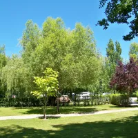 camping-les-peupliers--montalivet--atlantique-vendays-montalivet-sn7i9