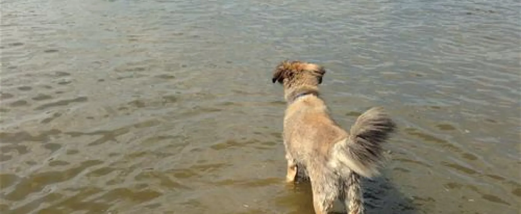 Camping Land an der Elbe bei Hamburg