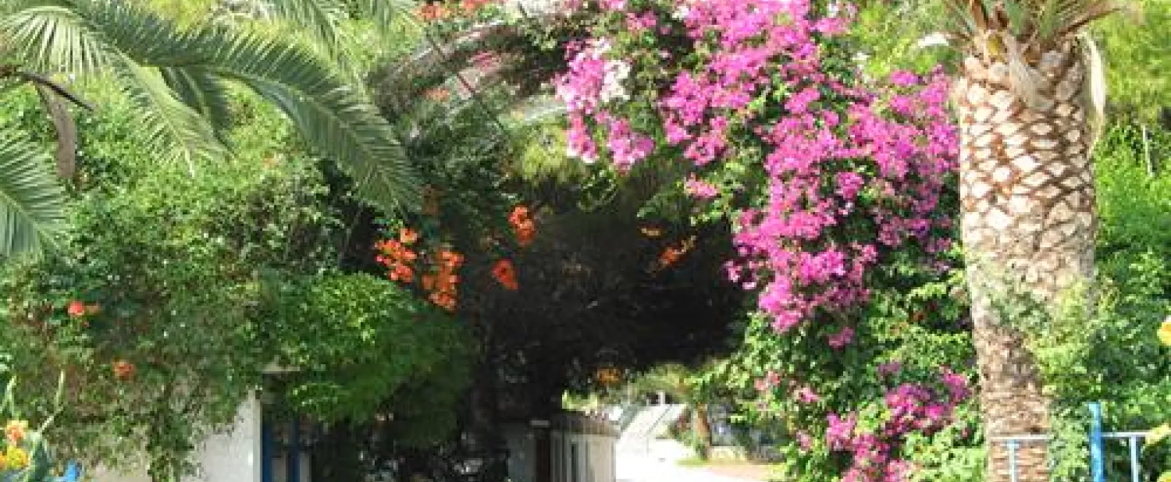 Campsite Aginara Beach