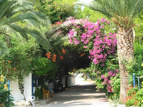 campsite-aginara-beach-glifailias-e88id