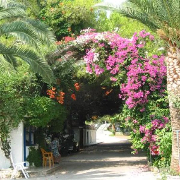 campsite-aginara-beach-glifailias-e88id