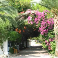 campsite-aginara-beach-glifailias-e88id
