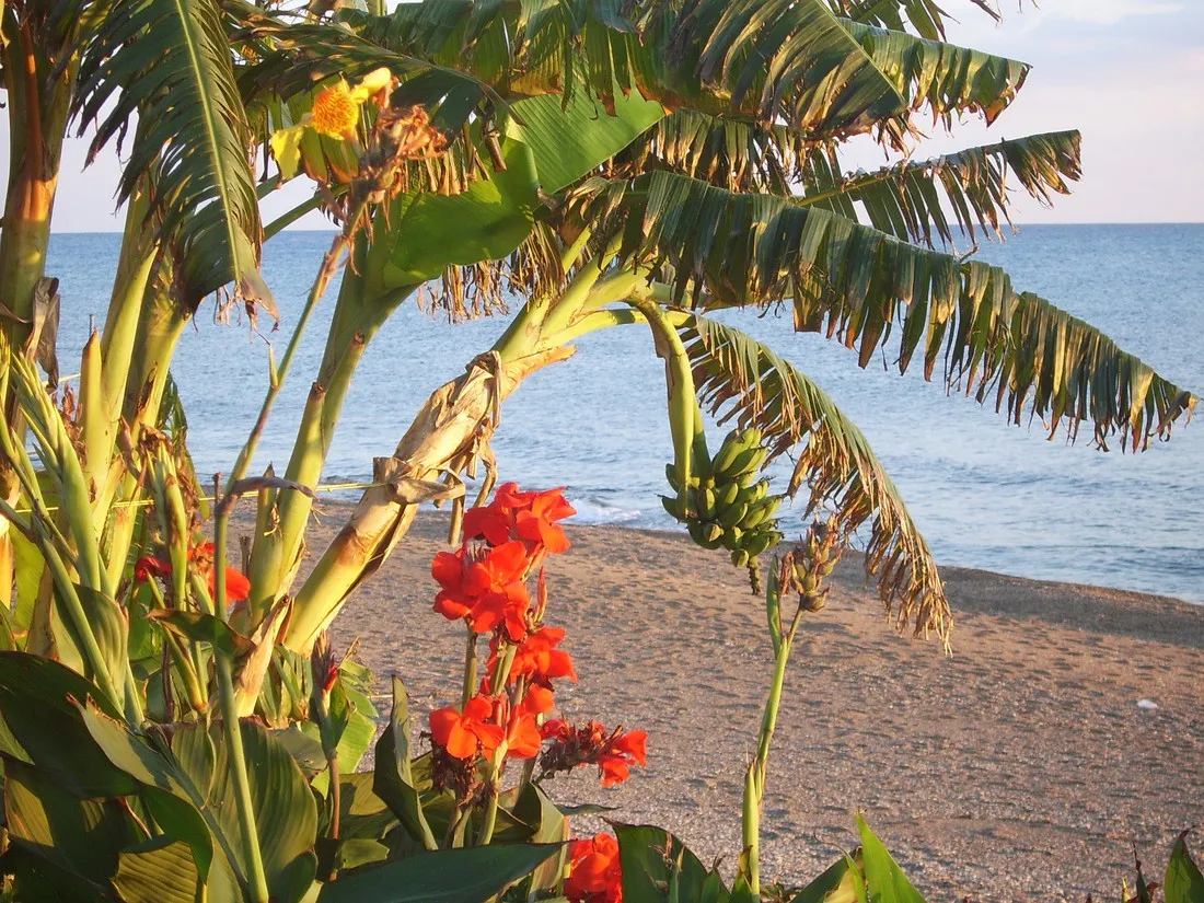 campsite-aginara-beach-glifailias-q0r5c