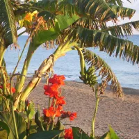 campsite-aginara-beach-glifailias-q0r5c