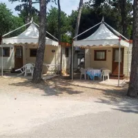 camping-mare-pineta-baia-sistiana-sistiana-duino-0jzxq