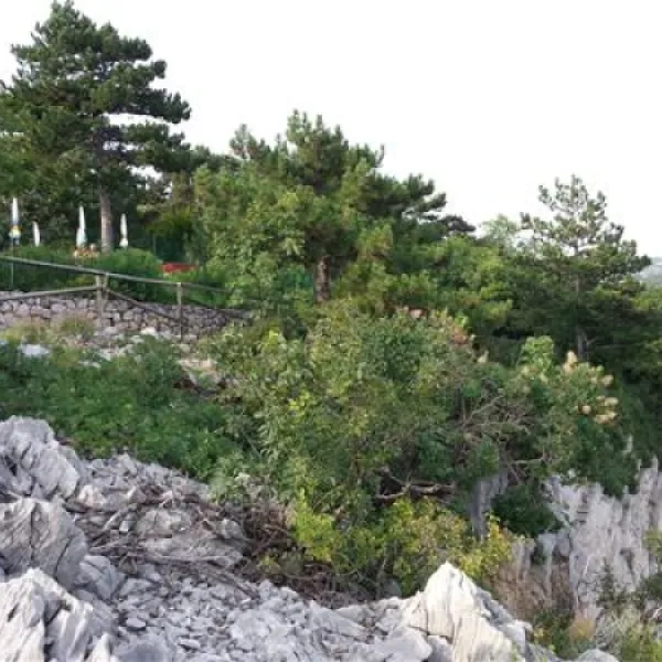 camping-mare-pineta-baia-sistiana-sistiana-duino-fia2v