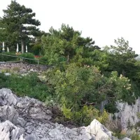 camping-mare-pineta-baia-sistiana-sistiana-duino-fia2v