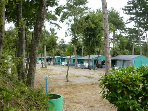 camping-mare-pineta-baia-sistiana-sistiana-duino-v2hrg