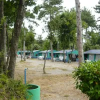 camping-mare-pineta-baia-sistiana-sistiana-duino-v2hrg