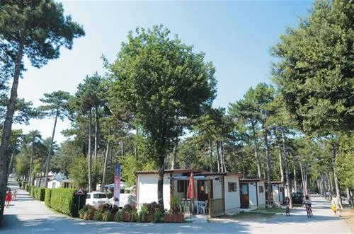 camping-mare-pineta-baia-sistiana-sistiana-duino-w3sxg