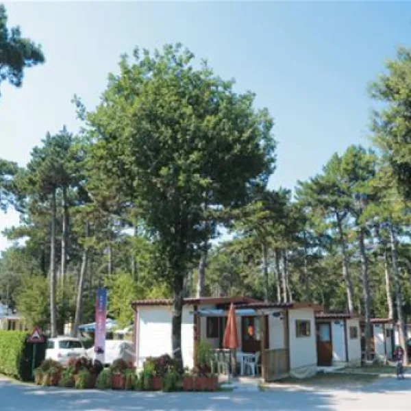 camping-mare-pineta-baia-sistiana-sistiana-duino-w3sxg