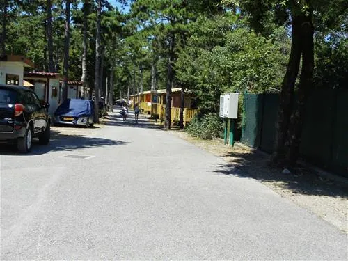camping-mare-pineta-baia-sistiana-sistiana-duino-whpya