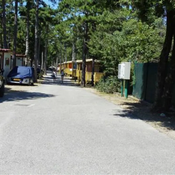 camping-mare-pineta-baia-sistiana-sistiana-duino-whpya