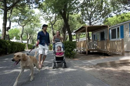 camping-mare-pineta-baia-sistiana-sistiana-duino-xmnky