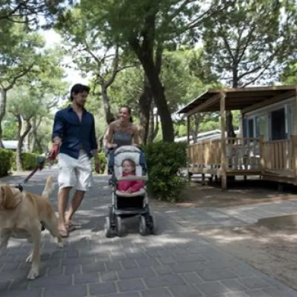 camping-mare-pineta-baia-sistiana-sistiana-duino-xmnky